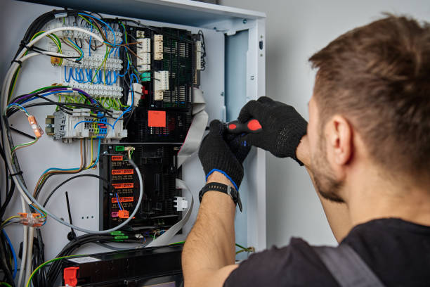 Licensed Electrical Panel Upgrade service in Lexington, MI - No Joke electrician